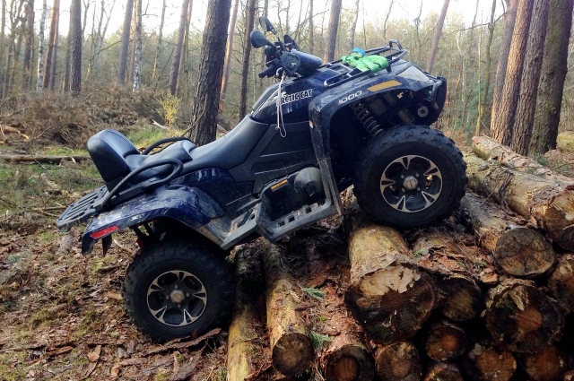 Quad nel bosco